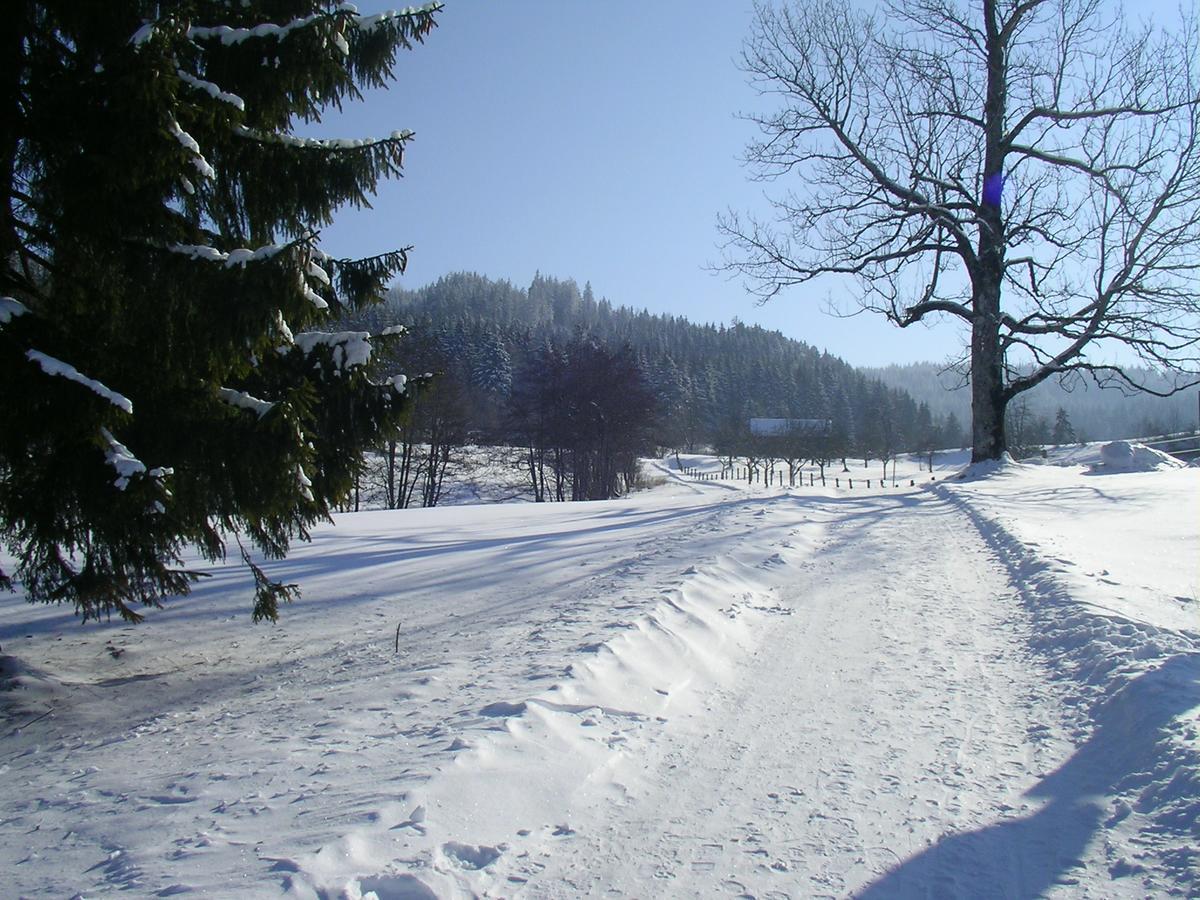 Allgaeu 3*