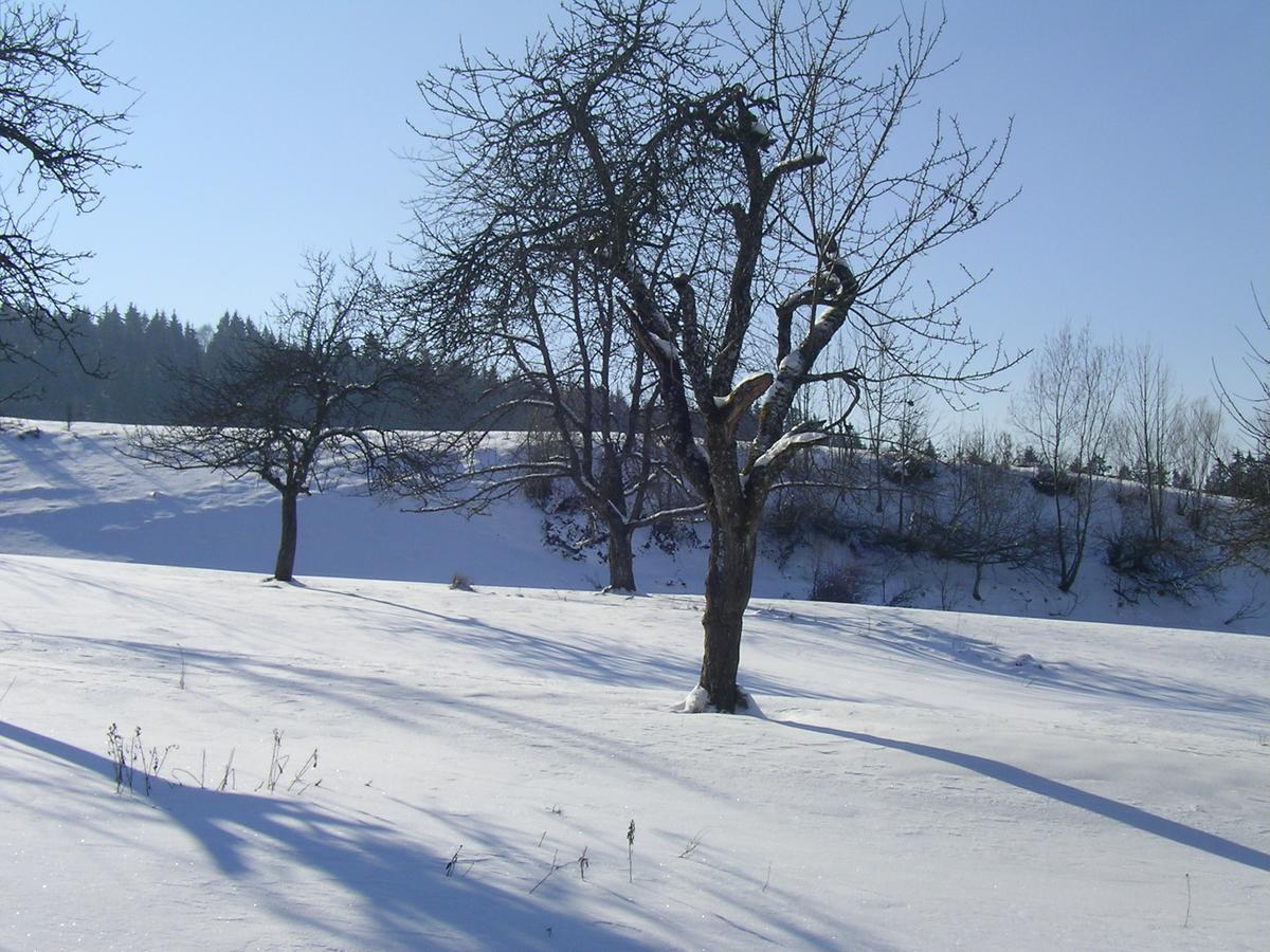 Hotel Allgaeu 3*
